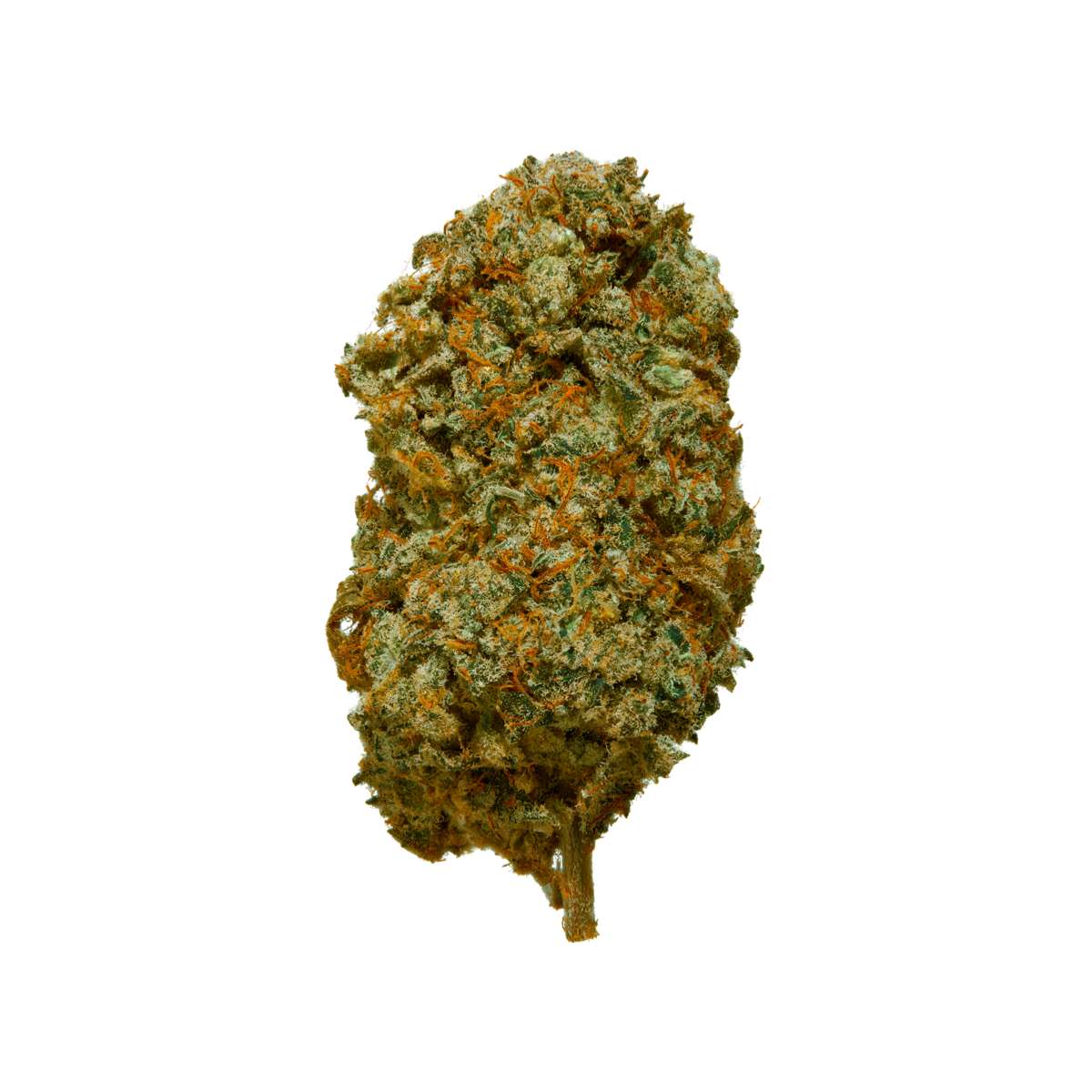 Dublin Lava 🌋 CBD Flower